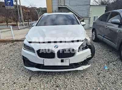 2019, BMW / 2 Series Gran Tourer, diesel, 1995 куб.см.