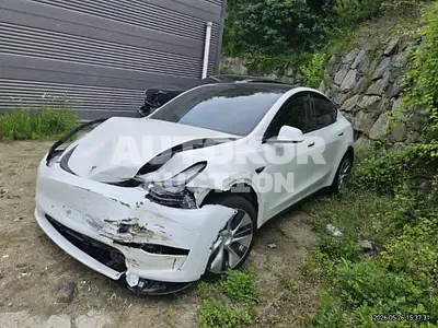 2023, Tesla / Model Y, electric