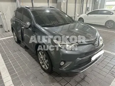 2017, Toyota / RAV4, VIN: JTMDJREVXHD083500, 190727 км., hybrid