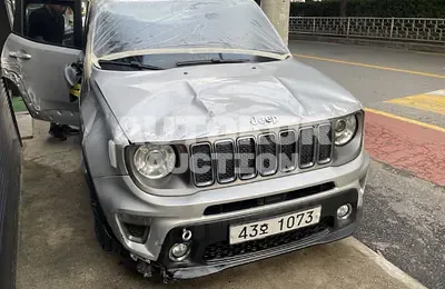 2019, Jeep / Renegade, VIN: 1C4BU0000KPJ95713, gas