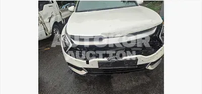 2023, Kia / Sportage, 53117 км., hybrid, 1599 куб.см.