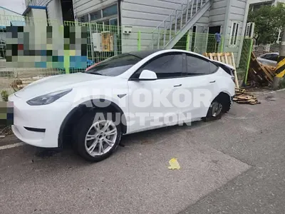 2023, Tesla / Model Y, 39000 км., electric