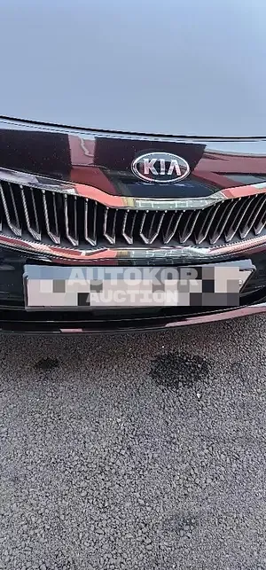 2019, Kia / K5, VIN: KNAGU411BKA265258, gas