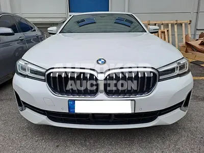 2022, BMW / 520, VIN: WBA11BH01NWX56620, gas