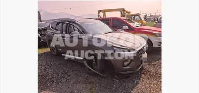 2019, Hyundai / Santa FE, 175749 км., diesel, 2000 куб.см.