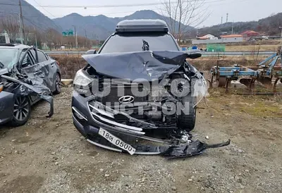 2016, Hyundai / Santa FE, VIN: KMHSW81UBGU692109, diesel