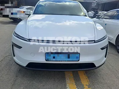 2025, Tesla / Model Y, electric
