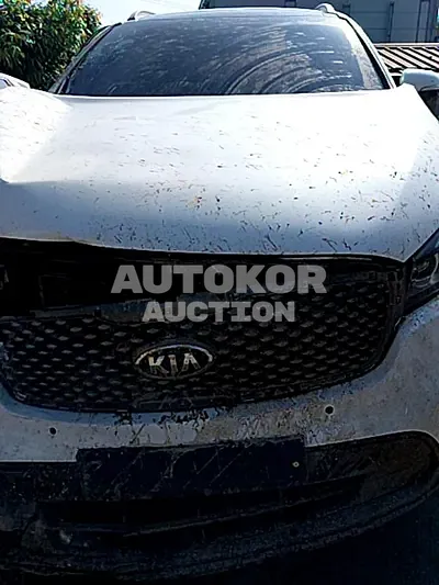 2017, Kia / Sorento, VIN: KNAPK81ABHA290197, 96000 км., diesel