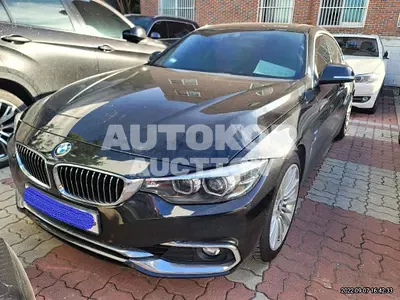 2018, BMW / 420, VIN: WBA4H3109JBH10434, 21908 км., gas