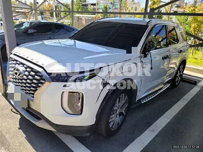 2019, Hyundai / Palisade, VIN: KMHR381EDKU019673, 117900 км., gas, 3800 куб.см.
