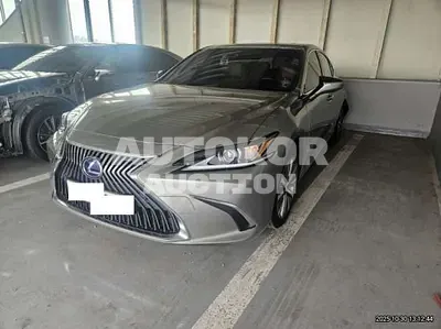 2020, Lexus / es300h, 81330 км., hybrid