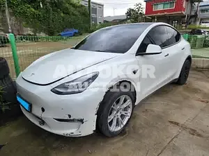2021, Tesla / Model Y, VIN: 5YJYGDED6MF239223, electric