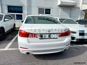 2019, BMW / 520, VIN: WBAJK7106KBP73839, 25000 км., gas