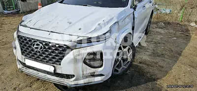 2019, Hyundai / Santa FE, VIN: KMHS581CDKU075195, diesel