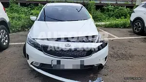 2017, BMW / Z1, VIN: KNAFK412BJA737772, gas