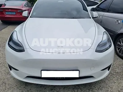 2024, Tesla / Model Y, VIN: LRWYGCFS0RC176807, 49303 км., electric