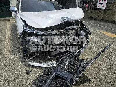 2019, Hyundai / Santa FE, VIN: KMHS581CDLU231677, 167238 км., diesel, 2199 куб.см.