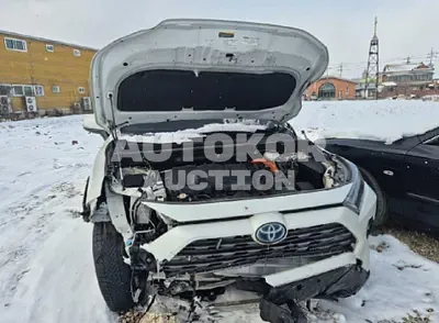 2023, Toyota / RAV4, hybrid