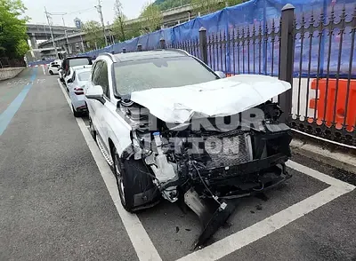 2019, Hyundai / Santa FE, VIN: KMHS581CBKU098716, 88406 км., diesel