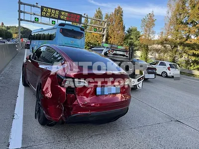 2024, Tesla / Model Y, 1627 км., electric
