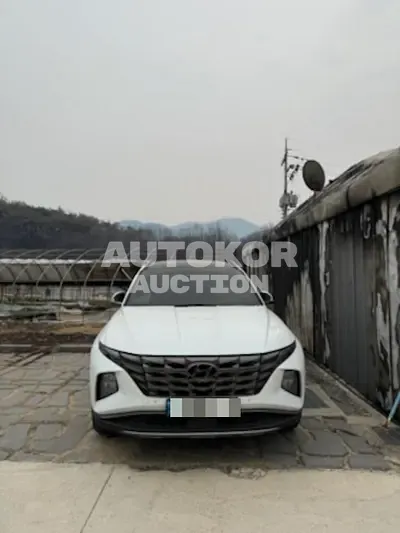 2022, Hyundai / Tucson, gas, 1600 куб.см.