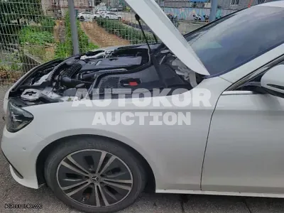 2021, Mercedes-Benz / E 250, VIN: W1KZF4FB1MA929805, 25953 км., gas