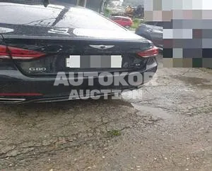 2019, Genesis / G80, VIN: KMHGM41DBKU333266, 30000 км., gas