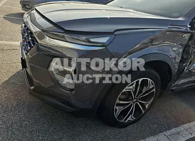 2020, Hyundai / Santa FE, VIN: KMHS281BBLU215094, diesel