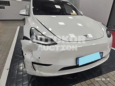 2022, Tesla / Model Y, VIN: 7SAYGDEE3NF498006, 10662 км., electric