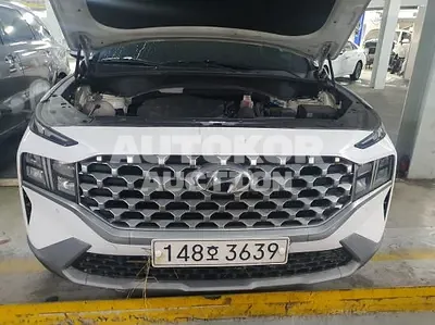 2021, Hyundai / Santa FE, VIN: KMHS281HGMU391135, 153914 км., diesel, 2200 куб.см.