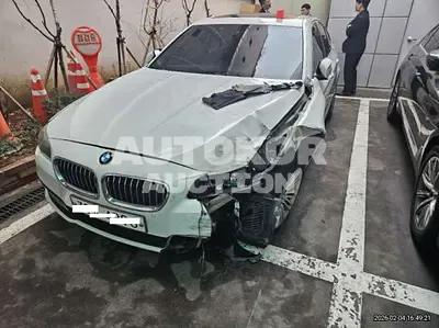 2015, BMW / 520, VIN: WBA5E5104FG066437, 124222 км., diesel