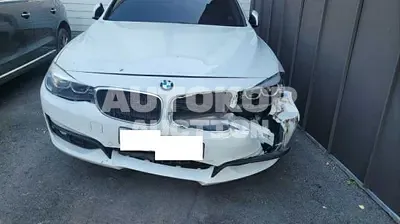 2018, BMW / 320, 218606 км., diesel