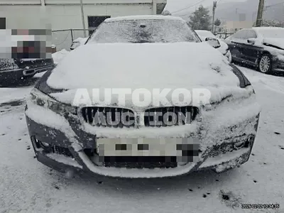 2016, BMW / 320, 227312 км., diesel