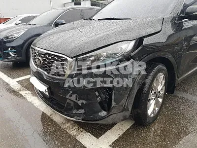 2020, Kia / Sorento, VIN: KNAPS81BDLA580464, 74160 км., diesel