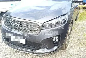 2019, Kia / Sorento, 97233 км., diesel, 1995 куб.см.