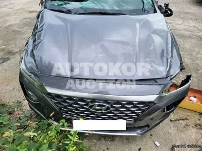 2019, Hyundai / Santa FE, VIN: KMHS581BDKU092691, diesel