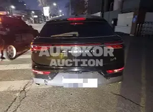 2020, BMW / iX, VIN: LVZA53PA4LCB02871, 25838 км., gas