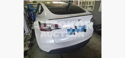 2024, Tesla / Model Y, 25000 км., electric