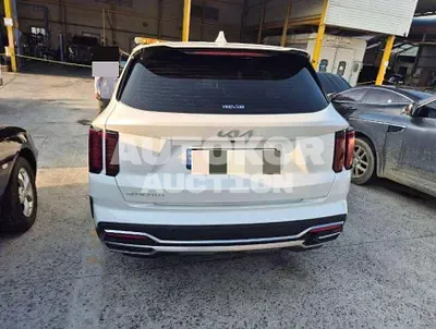 2022, Kia / Sorento, VIN: KNARM81BGPA193147, 60222 км., diesel, 2200 куб.см.