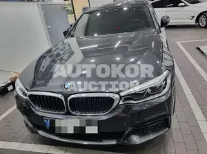 2020, BMW / 520, VIN: WBAJK9100LCE73594, 20000 км., gas