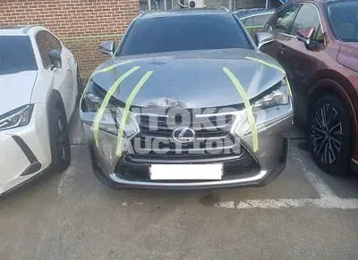 2016, Lexus / NX 300, VIN: JTJBJRBZ3G2041143, hybrid
