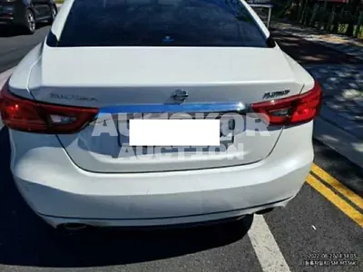 2017, Nissan / Maxima, VIN: 1N4AA6AP6HC398993, gas