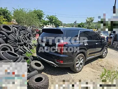 2019, Hyundai / Palisade, 160000 км., gas, 3800 куб.см.