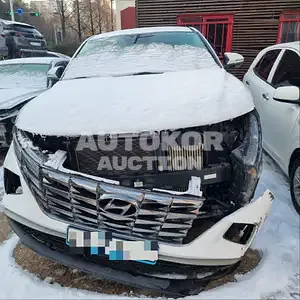 2021, Hyundai / Tucson, VIN: KMHJB81BGMU051114, 104487 км., gas