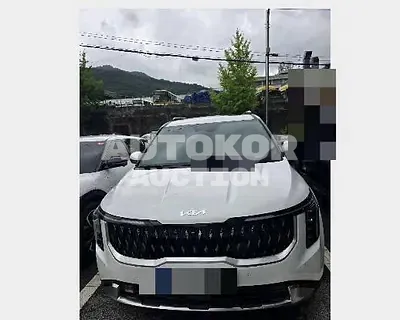 2024, Kia / Carnival, diesel, 2151 куб.см.