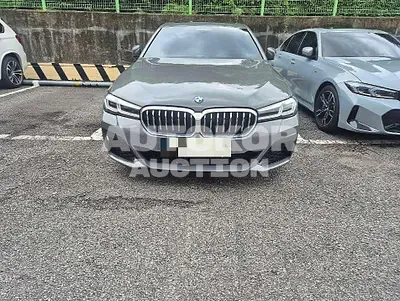 2021, BMW / 520, 34421 км., gas, 1998 куб.см.