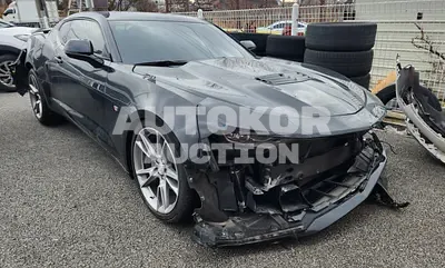 2021, Chevrolet / Camaro, VIN: 1G1F91R73M0129774, gas