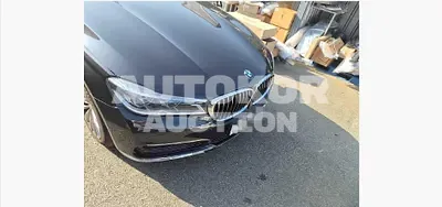 2016, BMW / 730, 173049 км., diesel, 1993 куб.см.