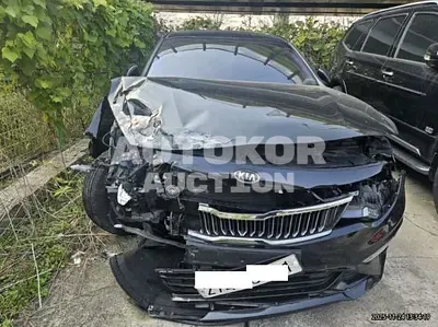 2019, Kia / K5, VIN: KNAGS416BKA261017, 178900 км., lpg
