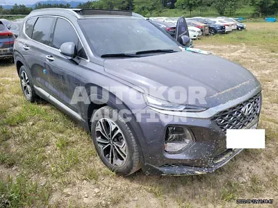 2019, Hyundai / Santa FE, VIN: KMHS381CBKU076010, diesel
